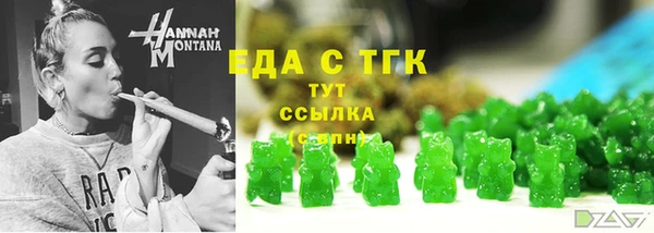 индика Балахна