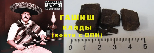крисы Бородино