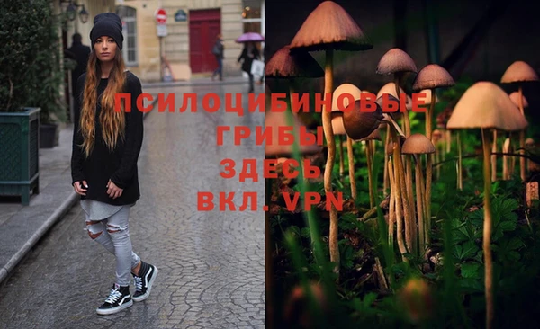 круглые Богданович