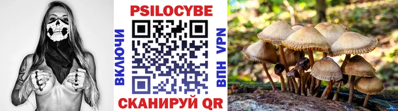 хочу наркоту  Венёв  даркнет как зайти  Псилоцибиновые грибы Psilocybe 